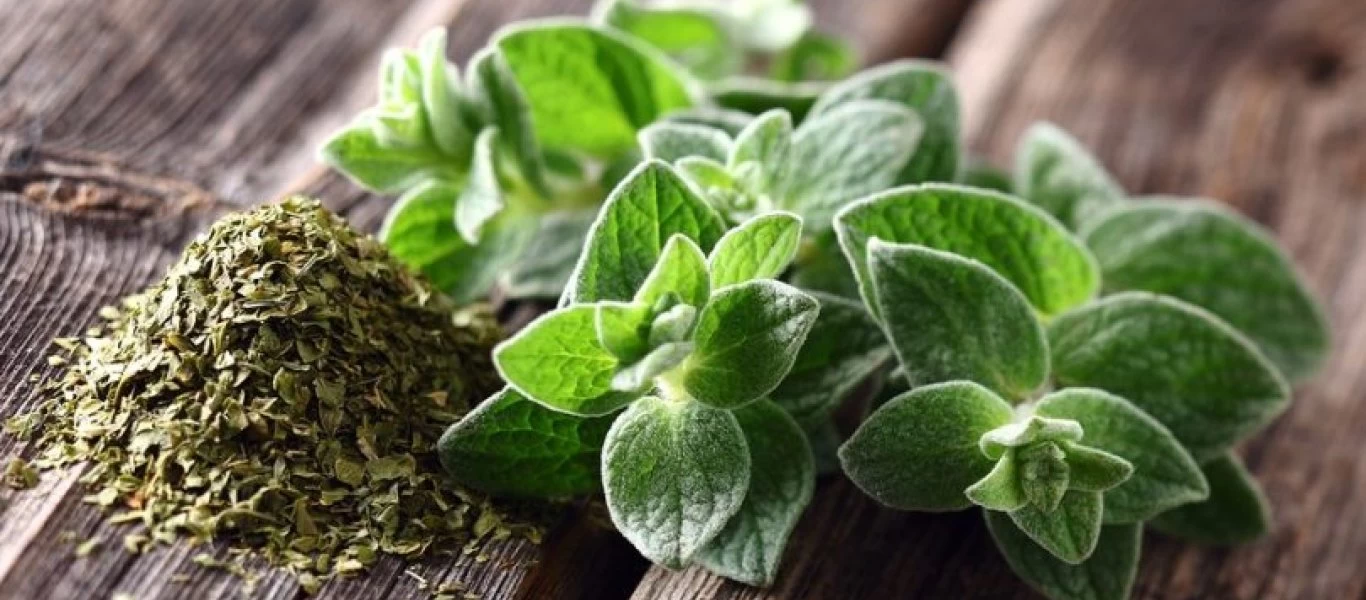 Το τρόφιμο που ρίχνει την πίεση και μειώνει την χοληστερόλη - Το έχουμε όλοι στην κουζίνα μας